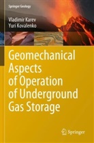 Vladimir Karev, Yuri Kovalenko - Geomechanical Aspects of Operation of Underground Gas Storage
