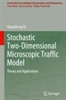 Hongsheng Qi - Stochastic Two-Dimensional Microscopic Traffic Model