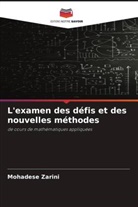 Mohadese Zarini - L'examen des défis et des nouvelles méthodes