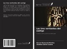 Andréia Catine Cosme, Karem Raimondi Martins - Las tres vertientes del castigo