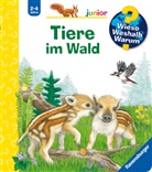 Patricia Mennen, Anne Ebert - Wieso? Weshalb? Warum? junior, Band 77 - Tiere im Wald