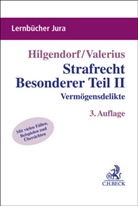 Eric Hilgendorf, Brian Valerius - Strafrecht Besonderer Teil II