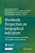 Maria Bouhaddane, Delphine Marie-Vivien, Valérie Pieprzownik, Ida Puzone, Florence Tartanac, Erik Thévenod-Mottet... - Worldwide Perspectives on Geographical Indications