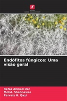 Refaz Ahmad Dar, Parvaiz H. Qazi, Mohd. Shahnawaz - Endófitos fúngicos: Uma visão geral