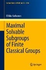 Mikko Korhonen - Maximal Solvable Subgroups of Finite Classical Groups