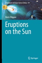 Boris Filippov - Eruptions on the Sun