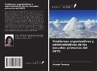 Atsede Tesfaye - Problemas organizativos y administrativos de las escuelas primarias del EOTC