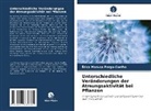 Érica Marusa Pergo-Coelho - Unterschiedliche Veränderungen der Atmungsaktivität bei Pflanzen