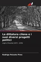 Rodrigo Peixoto Pires - La dittatura cilena e i suoi diversi progetti politici