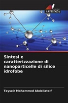 Tayseir Mohammed Abdellateif - Sintesi e caratterizzazione di nanoparticelle di silice idrofobe