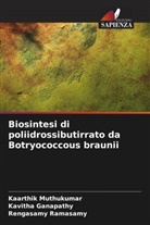 Kavitha Ganapathy, Kaarthik Muthukumar, Rengasamy Ramasamy - Biosintesi di poliidrossibutirrato da Botryococcous braunii