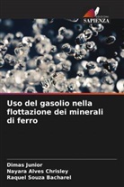 Raquel Souza Bacharel, Nayara Alves Chrisley, Dimas Junior - Uso del gasolio nella flottazione dei minerali di ferro