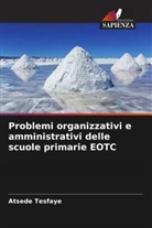 Atsede Tesfaye - Problemi organizzativi e amministrativi delle scuole primarie EOTC