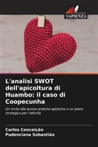 Carlos Conceição, Pudenciana Sebastião - L'analisi SWOT dell'apicoltura di Huambo: il caso di Coopecunha