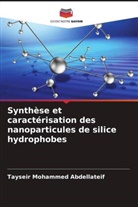 Tayseir Mohammed Abdellateif - Synthèse et caractérisation des nanoparticules de silice hydrophobes
