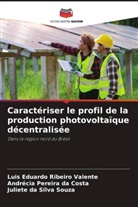 Andrécia Pereira Da Costa, Luis Eduardo Ribeiro Valente, Juliete Da Silva Souza - Caractériser le profil de la production photovoltaïque décentralisée