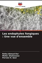 Refaz Ahmad Dar, Parvaiz H. Qazi, Mohd. Shahnawaz - Les endophytes fongiques : Une vue d'ensemble