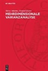 Heinz Ahrens, Jürgen Läuter - Mehrdimensionale Varianzanalyse