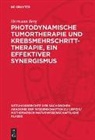 Hermann Berg - Photodynamische Tumortherapie und Krebsmehrschritt-Therapie, ein effektiver Synergismus