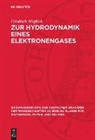 Friedrich Möglich - Zur Hydrodynamik eines Elektronengases