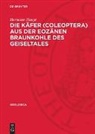 Hermann Haupt - Die Käfer (Coleoptera) aus der eozänen Braunkohle des Geiseltales