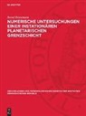 Bernd Heinemann - Numerische Untersuchungen einer instationären planetarischen Grenzschicht