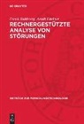 Frank Baldeweg, Arndt Lindner - Rechnergestützte Analyse von Störungen