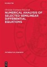Christian Grormann, Thomas Riedrich, Hartmut Schonheinz - Numerical Analysis of Selected Semilinear Differential Equations