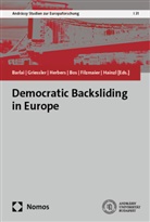 Melani Barlai, Ellen Bos, Peter Filzmaier, Christina Griessler, Christina Hainzl, Martin R. Herbers... - Democratic Backsliding in Europe