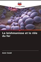 Amir Zaidi - La leishmaniose et le rôle du fer