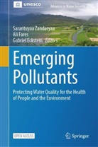 Gabriel Eckstein, Ali Fares, Sarantuyaa Zandaryaa - Emerging Pollutants