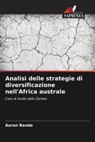 Aaron Banda - Analisi delle strategie di diversificazione nell'Africa australe