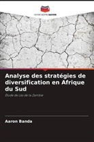 Aaron Banda - Analyse des stratégies de diversification en Afrique du Sud