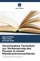 Jigesh Mehta, Kaushik Nath, Tejal Patel - Verschiedene Techniken zur Verbesserung des Flusses in einem Membrantrennverfahren