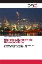 Jairo José Rondón Contreras - Hidrodesulfuración de Dibenzotiofeno