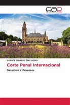Vicente Eduardo Díaz Godoy - Corte Penal Internacional
