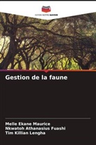 Nkwatoh Athanasius Fuashi, Tim Killian Lengha, Melle Ekane Maurice - Gestion de la faune