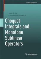 Sorin G Gal, Sorin G. Gal, Constantin P Niculescu, Constantin P. Niculescu - Choquet Integrals and Monotone Sublinear Operators