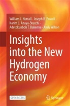 Anaya-Stuc, Anaya-Stucchi, Karim L. Anaya-Stucchi, Adetokunboh T. Bakenne, William J Nuttall, William J. Nuttall... - Insights into the New Hydrogen Economy