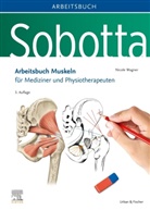 Nicole Wagner - Sobotta Arbeitsbuch Muskeln