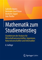 Gabriele Adams, Hermann-Josef Kruse, Udo Pfeiffer, Dieth Sippel, Diethelm Sippel - Mathematik zum Studieneinstieg