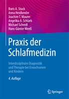 Anna Heidbreder, Joachim T Maurer, Joachim T. Maurer, Angelika A. Schlarb, Michael Schredl, Boris A Stuck... - Praxis der Schlafmedizin
