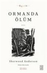 Sherwood Anderson - Ormanda Ölüm
