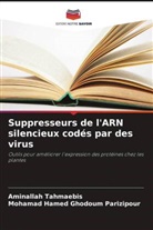 Mohamad Hamed Ghodoum Parizipour, Aminallah Tahmaebis - Suppresseurs de l'ARN silencieux codés par des virus