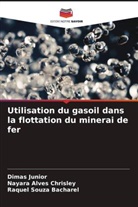 Raquel Souza Bacharel, Nayara Alves Chrisley, Dimas Junior - Utilisation du gasoil dans la flottation du minerai de fer
