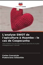 Carlos Conceição, Pudenciana Sebastião - L'analyse SWOT de l'apiculture à Huambo : le cas de Coopecunha