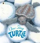 N Davies, Nicola Davies, Davies Nicola, Jane Chapman, Chapman Jane - One Tiny Turtle