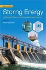 Trevor Letcher, Letcher Trevor - Storing Energy