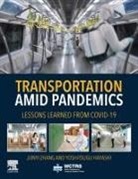 Yoshitsugu Hayashi, Hayashi Yoshitsugu, Junyi Zhang, Zhang Junyi - Transportation Amid Pandemics