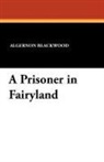 Algernon Blackwood - Prisoner in Fairyland